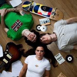 Avatar for The North