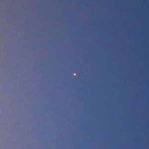 星も知らない