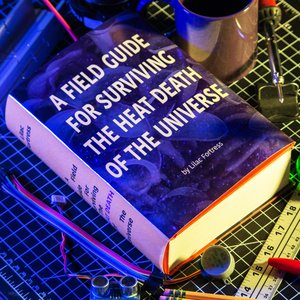 A Field Guide For Surviving The Heat Death Of The Universe