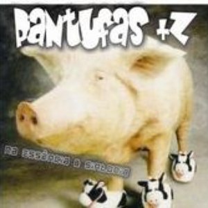 Pantufas +Z 的头像