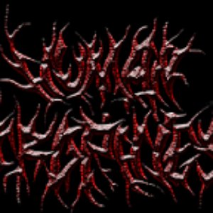 HUMAN TROPHIES 的头像