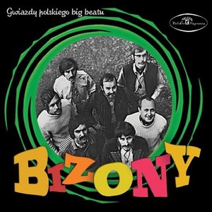 Gwiazdy Polskiego Big Beatu