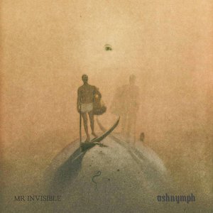 Mr Invisible