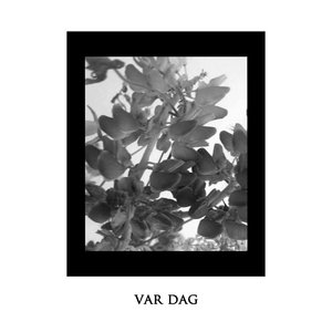Var Dag