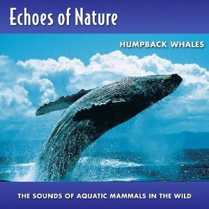 Humpback Whales