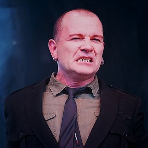 The Heads & Gavin Friday 的头像