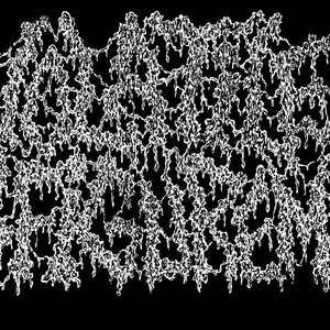 Volatile Disfigurement 的头像