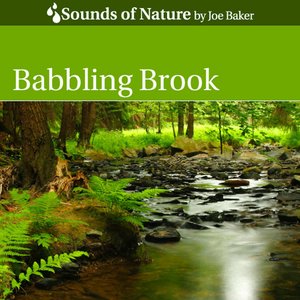 Babbling Brook