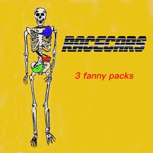 3 Fanny Packs - Single