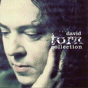 Image for 'The David Torn Collection'