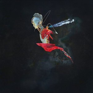 The Temple of Curved Space - Single