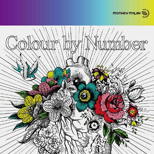 Colour by Number cover