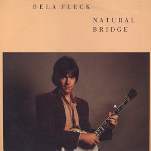 Image for 'Natural Bridge'