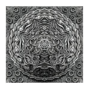 String Theory