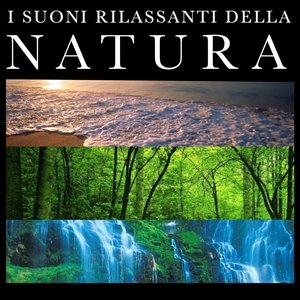 I suoni rilassanti della natura