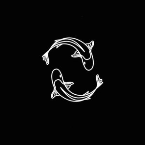 Lil Pisces