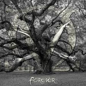 Forever