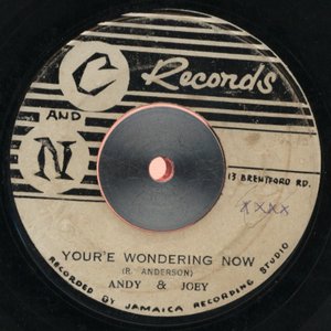 You're Wondering Now