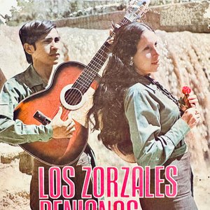 Image pour 'Los Zorzales Benianos'