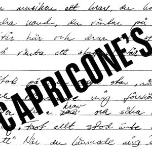 Capricone's 的头像