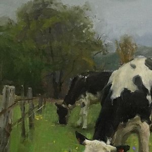 Rain Over the Sleeping Field