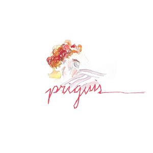 Priguis