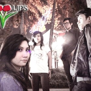 Toolips 的头像