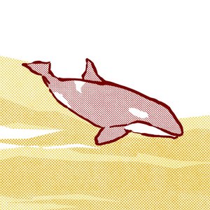 Song for the Orca - Single