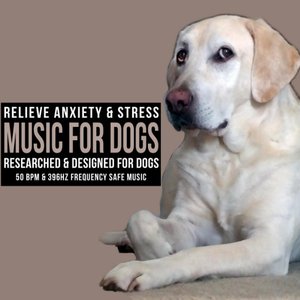 Researched and Designed For Dogs
