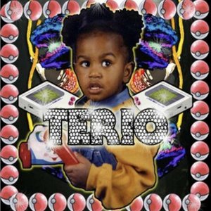 Terio 的头像