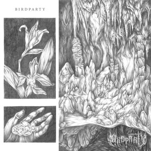 BIRDPARTY