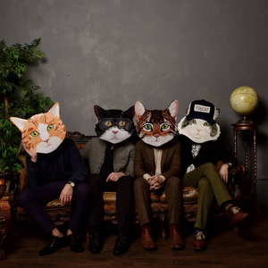 Fantastic Cat
