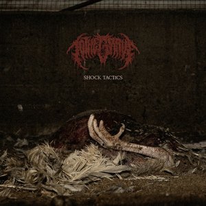 Shock Tactics (1000v)