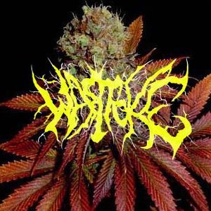 Wartoke 的头像