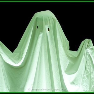 Green Ghost 的头像