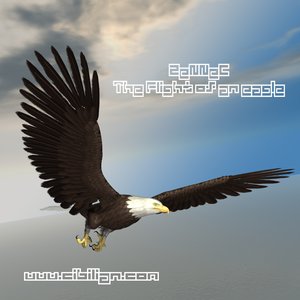 The flight of an eagle