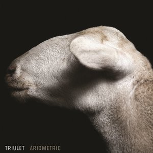 Aridmetric