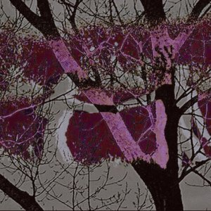Idontlikethewaymybrainworks - Single