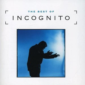 Best Of Incognito