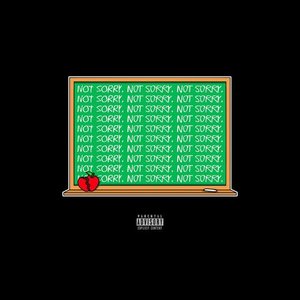 Not Sorry - Single