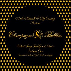 Champagne & Bubbles: Velvet Sexy Feel Good Music, Vol. 1 (DJ Mix)