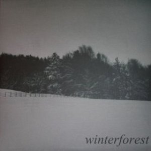 Winterforest