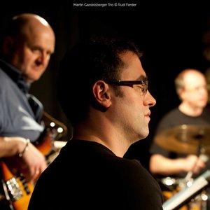 Martin Gasselsberger Trio 的头像