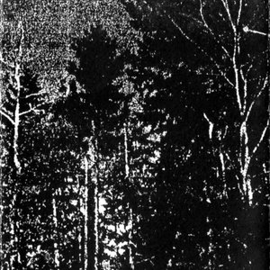 Vinter Nebulah