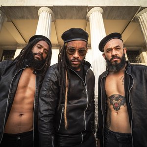 Black Pantera 的头像