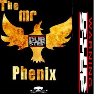 Image for 'the phenix xp'