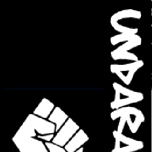 Undaraia 的头像