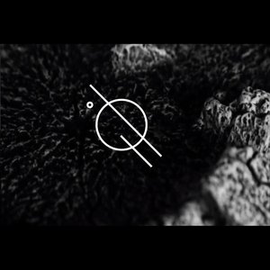 Holding On - Single