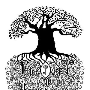 The key in nowhere 的头像