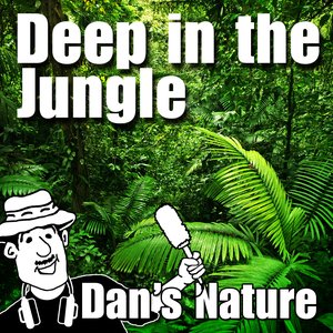 Deep in the Jungle (Nature Sounds)